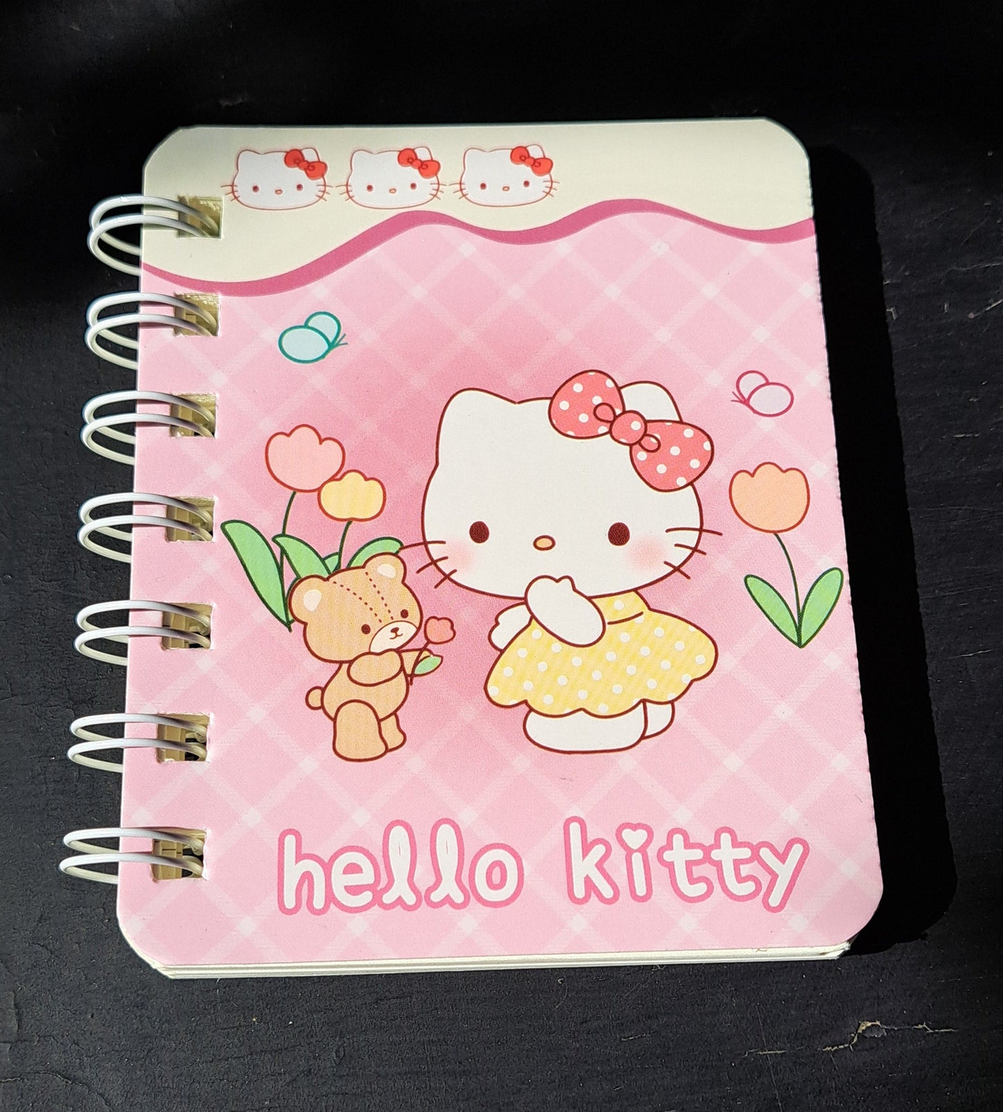 Hello kitty notebook